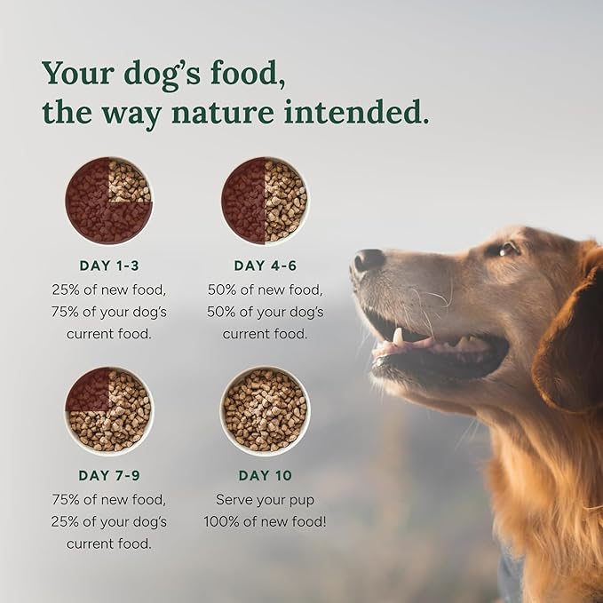 360 Pet Nutrition Freeze-Dried Raw Dog Food – Chicken Recipe with Liver & Organs, High Protein, Omega-3s, Fruits, Veggies & Superfoods, Grain-Free, No Fillers, 3 lb – Made in USA