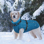 Lelepet Dog Coat for Large Dogs Waterproof Dog Jacket with Harness Built in Reflective Windproof Fleece Jacket with Zip Cold Weather Coats for Dogs,Thermal Outdoor Snowsuit, Weimaraner, Blue, XXL