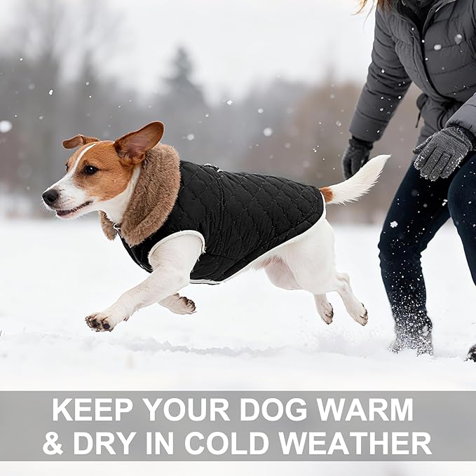 BEAUTYZOO Winter Dog Vest Coat with Harness Built in, Warm Puppy Jacket for Small Medium Dogs, Lightweight Cold Weather Small Dog Coat, Fleece Puffer Vest Windproof Snowproof Pet Clothes, Black