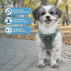 Best Pet Supplies Voyager Step-in Air Harness - All Weather Mesh, Reflective, No Pull Harness for Dogs, Cats - Secure with Hook & Loop Fastener, Buckle, Double D-Rings - Moss Green, XS