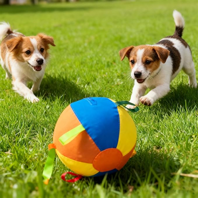 Herding Giant Tennis Dog Ball, Toy for Medium to Large Dogs, for Aggressive Chewers, Tough Herding Ball for Play & Exercise, Fun Doggy Birthday Gift (22-inch)