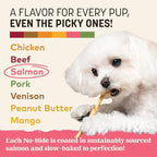 Earth Animal No Hide Stix - Long Lasting Rawhide Free Small Dog Chews Sticks, Salmon - 20 Count Value Pack