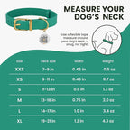 BRONZEDOG Leather Dog Collar with QR ID Tag Basic Pet Collars for Small Mini Dogs Cats Puppies (9-11 Inch (Pack of 1), Green & Gold Buckle)