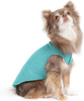 Goldpaw Stretchy Fleece Jacket for Small Dogs - Super Soft, Warm Dog Sweater - Pet Sweater Vest for Fall and Winter - Canine Clothes Made in The USA - Machine Washable - Turquoise - Size 6