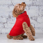 Syhood 2 Pieces Dog Jacket 2 Layers Fleece Lined Dog Jacket Warm Soft Windproof Small Pet Coat for Winter Cold Weather(M,Navy,Red)
