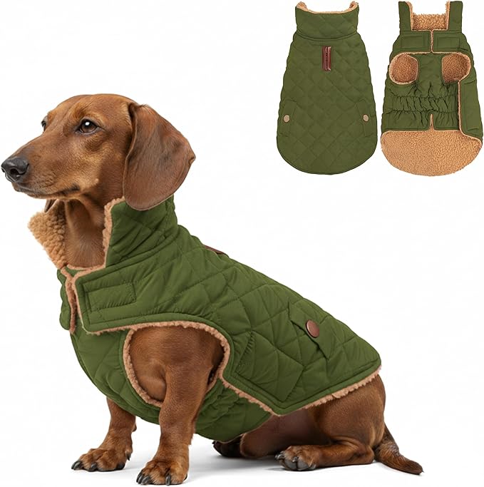 azuza Dog Jacket Waterproof & Windproof Dog Coat for Small Dogs with Thick Fleece, High Collar with Leash Hole, Adjustable Velcro & Elastic Belly, Army Green M