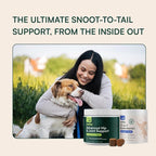 Wuffes Hip and Joint Supplement for Large Breeds and 23-in-1 Multivitamin Bundle