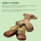 2-Pack Non-Toxic Dog Toys - Sustainable Roasted Peanut Butter Flavored Dog Chew Toys for Aggressive Chewers - Plant-Based Bioplastic Pet Toys - Made in The USA (Mighty)