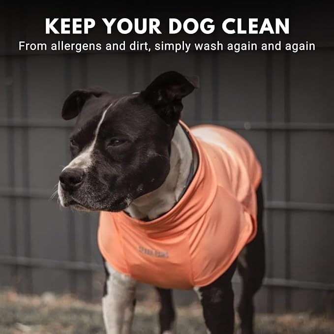 Spark Paws Sunblock Dog T-Shirt, SPF30 Protection, Lightweight Breathable Quick Dry for Dogs with Sensitive Skin - Purple & Peach (Set of 2) - 2XL