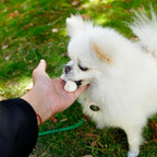 MON2SUN Dog Rawhide Knot Bones Mini Bones Rawhide Chews Natural 2.5 Inch 60 Count for Puppy and Small Dogs