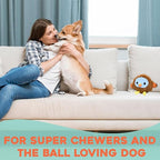 Flourish Pets 2 in 1 Multi-Layer Chew Toy for Active Dogs | Non-Toxic BPA Free Double Stitched Soft Fabric Exterior Dog Toys | Long-Lasting Dog Plush Toys –Turkey (4”)