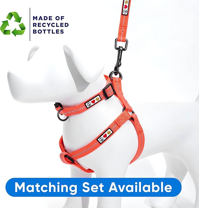 Pawtitas 6 FT Recycled Dog Leash with Reflective Stitched Thread Stitched on Side| Small Reflective Dog Leash Made from Plastic Bottles Collected from Oceans – Coral 6 ft Dog Leash