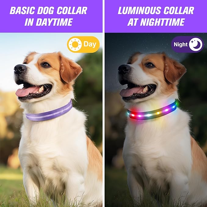 LED Dog Collar, Light Up Dog Collar, USB Rechargeable - Brightest Dog Lights for Night Walking, 6 Light Modes, Adjustable for Dog Safety(Medium, Purple)