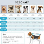 Queenmore Winter Dog Jackets, Dog Coats for Small Puppy, Warm Reflective Winter Dogs Coat, Waterproof Fall Pet Coats, Blue, S