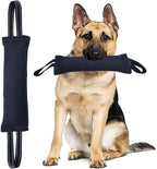 Clysrou Dog Tug Toy Tough Jute Bite Pillow Lasting Training Equipment Puppy to Large Dogs Interactive