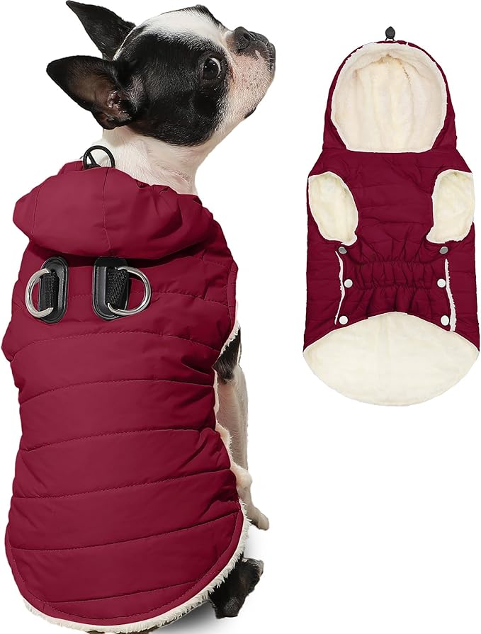 Fleece Lining Dog Hoodie with Harness Built in,Extra Warm Small Dog Jacket in Winter Puppy Coats with Drawstring Hooded,Red XS