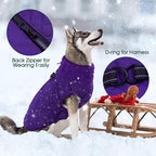 Kuoser Medium Dog Coat | All-Breed Thermal Wear with Windproof Layer | Reflective Tabs Enhance Visibility in Snow, Snap Buckles Simplify Dressing, Purple M