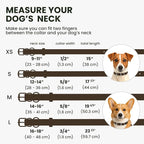 BRONZEDOG Rolled Leather Dog Collar for Small Medium Large Dogs with QR ID Tag (XS: 9-11 Inch, Coffee Brown)
