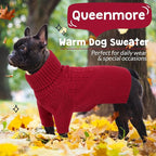 Queenmore Dog Sweater, Puppy Sweater for Small Dogs,Warm Winter Fall Dog Sweaters for Dog Girls Boys, Solid Turtleneck Knit Sweater for Large Medium Dogs,Long Sleeves Christmas Dog Sweater Red,S