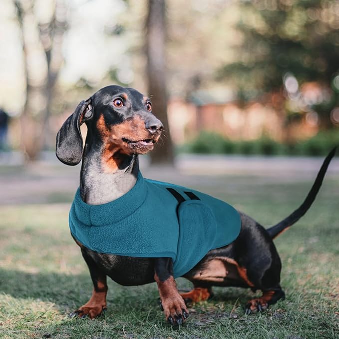 Queenmore XL Dog Sweaters, Soft Fleece Vest Pullover Dog Jacket with Leash Hole, Warm Winter Dog Clothes Cold Weather Doggy Dachshund Sweater for Large Dogs Cats Boy or Girl (Peacock-Blue, XL)