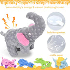 No Stuffing Dog Toys for Aggressive Chewers, Squeaky Dog Toys for Large Medium and Small Dogs, Puppy Dog Chew Toys Pack of 5