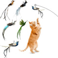 Deluxe Bird Replacement Heads for Cat Toys - Set of 5 - Realistic Feather Designs Including Blue Floral, Two-Tone, Traditional, Black & White, Green Hummingbird - Easy Clip-On