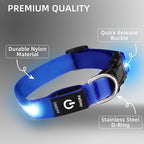 Super Bright LED Dog Collar - Fully Waterproof & Adjustable Glow Collar - USB-C Rechargeable for Night Walking, Safety - Flashing Lighted Collar for Dogs(Blue,Large)