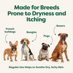 Earth Rated 3-in-1 Soothing Dog Shampoo and Conditioner, Deodorizing Oatmeal Shampoos for Dogs and Puppies, Great for Smelly Pets, White Tea and Basil Scent, 16 oz
