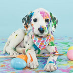 E-Clover Easter Dog Bandana & Matching Scrunchie Set Egg Dog Bandanas Scarf with Bunny Hair Tie for Medium Large Dogs & Pet Owner Mom Gift