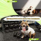 MFC®️Dog Dumbbell | Fun Squeaker Toy | Sports Dog Chew Toy | Durable Toys for Puppies and Adults | Dumbbell with Soft and Safe Material