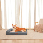 Orthopedic Dog Beds Large Sized Dog, Memory Foam Pet Bed for Large Dogs, Washable Removable Cover, Nonskid Bottom, Waterproof, 36x27x6 Inches, Dark Grey