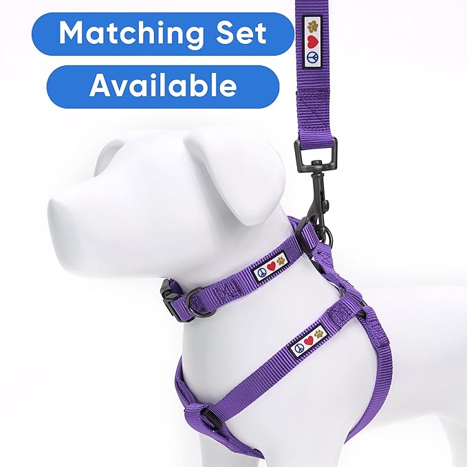 Pawtitas Personalized Dog Leash Embroidered Customize with Your Pet Name & Phone Number Puppy 6 ft Long Medium Large Purple Custom Engraved, Customized M/L (Pack of 1)