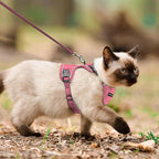 Cat Harness, Cat Harness and Leash for Walking, Escape Proof Soft Adjustable Vest Harnesses for Cats, Easy Control Breathable Reflective Strips Harness, Kitten Harness and Leash Set, Pink, S