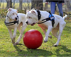 Jolly Pets Push-n-Play Ball Dog Toy, 14 Inches/Extra-Large, Red All Breed Sizes