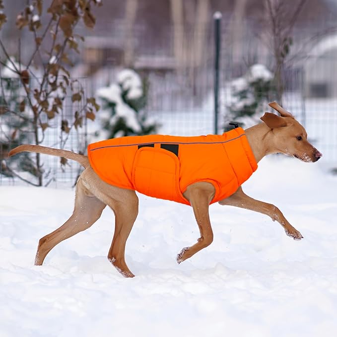 Kuoser Dog Jacket, Winter Dog Coats for Medium Dogs, Reflective Doggie Cold Weather Coats Pet Clothes, Puppy Snow Jacket for Frech Bulldog, Boston Terrier, Orange M