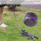 AMAGOOD 6 FT Puppy/Leash, Strong Traditional Style with Easy to Use Collar Hook, Great for Small, Medium and Large Dogs (5/8in x 6 ft, Purple)