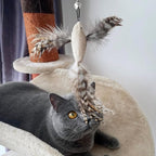 TTcat 3 Pcs Cat Feather Simulation Bird Refills Replacements for Cat Wand.