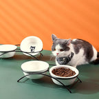 ZONEYILA Elevated Cat Bowls, Dog Bowl, Ceramic Raised Cat Food Water Bowl Set with Metal Stand for Indoor Cats Small Dog, Prevent Neck Pain,12 Ounces, Cute Paw Pattern
