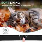 Airtag Cat Collar Breakaway, Reflective Cat Collar with AirTag Holder and Bell, Compatible with Apple Air Tag, Comfortable Padding, Adjustable, Durable (Pink, XS)