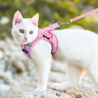 Dooradar Cat Harness and Leash Set, Escape Proof Lightweight Kitten Harness, Soft Breathable Reflective Vest for Outdoor Walking Traveling, Adjustable for Medium Cats, Purple & Pink, M