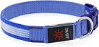 YFbrite Light up Dog Collar, USB Rechargeable LED Puppy Collar Super Bright Adjustable Glowing Dog Lights for Night Walking (Design-2- Blue, Small)