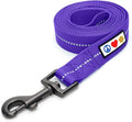 Pawtitas Recycled 6 FT Dog Leash with Reflective Stitched Thread - Purple, 6 ft