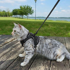 Cat Harness and Leash Set Escape Proof Tactical Extra Large Kitten Harness Emotional Support Cat Vest, Black, XXL