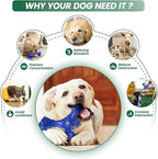 Dog Chew Toys for Aggressive Chewers Large Breed,Indestructible Bones Toy，Durable Cleaning Toothbrush Natural Rubber Dog Toys… (Deep Blue)