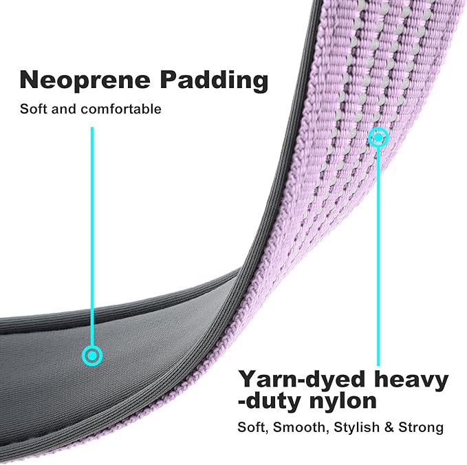 Plutus Pet Reflective Dog Collar with Aviation Aluminum Buckle, Neoprene Padded for Comfort, Lightweight, Heavy Duty Nylon Collar for Puppy Small Medium Large Dogs (Lilac Purple, S)
