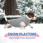Dog Fleece Vest - Grey, M - Pullover Warm Sweater | Stretchable Sweatshirt Small Dogs Boy, Lightweight Winter Jacket Keep Warm, Mini Dachshund