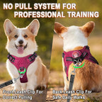 Dog Harness Step in Dog Vest Harness, Reflective Adjustable Puppy No Pull Harness Breathable Soft for Small and Medium Dogs Cats, Pink/Black, S