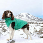 Large Dog Winter Coat with Back Zipper & Detachable Scarf, Waterproof Warm Female Dog Snow Jacket, Dogs Puffer Vest for Golden Retriever, German Shepherd, Green 2XL