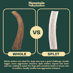 Mountain Valley Elk Antlers for Dogs - 100% Natural & Organic Chew for Aggressive Chewers, No Odor, No Mess, Long Lasting - Wild-Foraged Naturally Shed Antlers in USA - Grade A, Split Medium (1 Pack)
