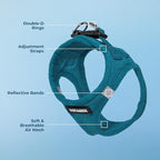 Best Pet Supplies Voyager Step-in Air Harness - All Weather Mesh, Reflective, No Pull Harness for Dogs, Cats - Secure with Hook & Loop Fastener, Buckle, Double D-Rings - Turquoise, XS